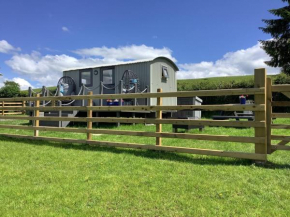 The Shepherd s Hut at Hafoty Boeth